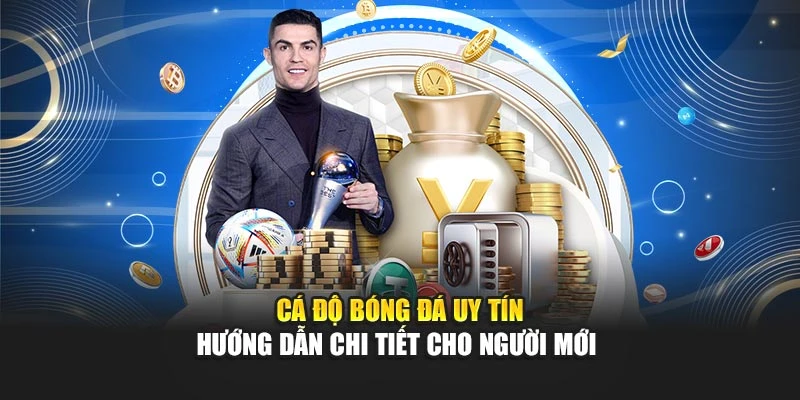 Cá Độ Bóng Đá Uy Tín - Hướng Dẫn Chi Tiết Cho Người Mới
