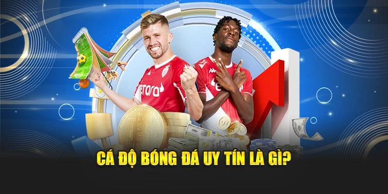 Cá độ bóng đá uy tín là gì