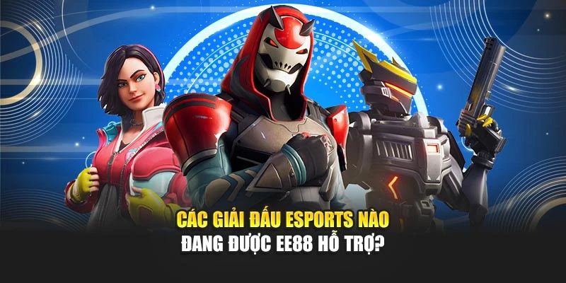 Các giải đấu esports nào đang được EE88 hỗ trợ?