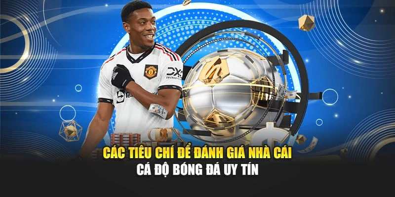 Các tiêu chí để đánh giá nhà cái cá độ bóng đá uy tín