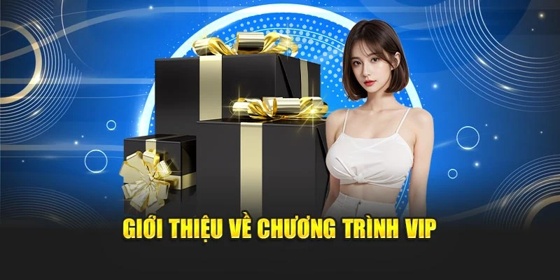 Giới thiệu về chương trình VIP