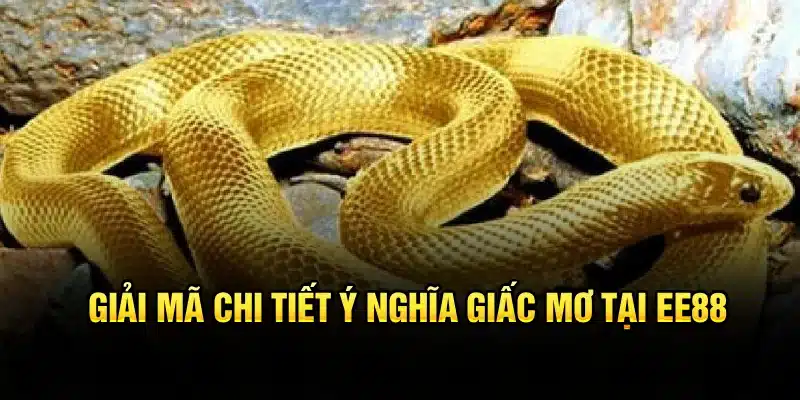 Giải mã chi tiết ý nghĩa giấc mơ tại EE88
