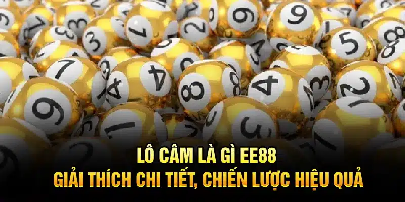 Lô Câm Là Gì EE88 – Giải Thích Chi Tiết, Chiến Lược Hiệu Quả