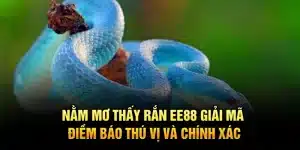Nằm Mơ Thấy Rắn EE88 – Giải Mã Điềm Báo Thú Vị Và Chính Xác